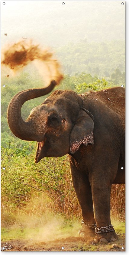 Schuttingposter Olifant - Dieren - Bos - Bomen - 100x200 cm - Tuindoek