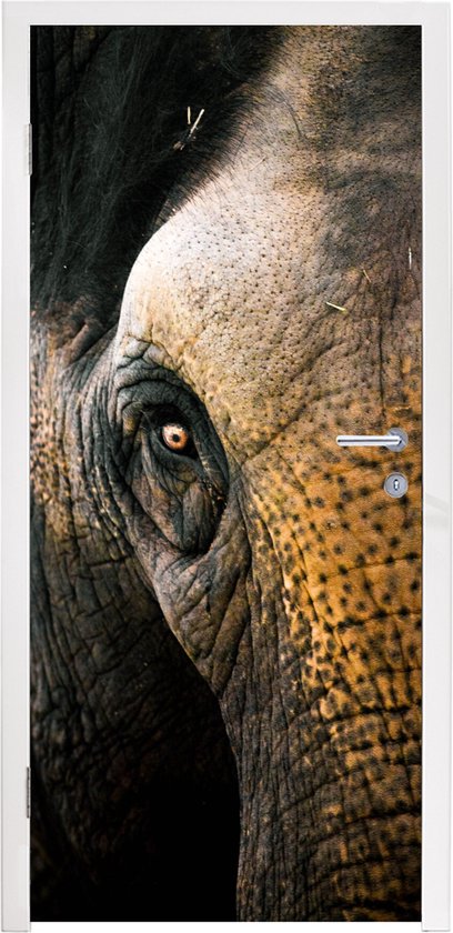 Deursticker Olifant - Close up - Dieren - Natuur - 95x215 cm - Deurposter