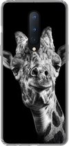 Geschikt voor OnePlus 8 hoesje - Giraffe - Dier - Zwart - Wit - Siliconen Telefoonhoesje