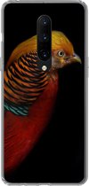 Geschikt voor OnePlus 7 Pro hoesje - Vogel - Veren - Zwart - Portret - Siliconen Telefoonhoesje