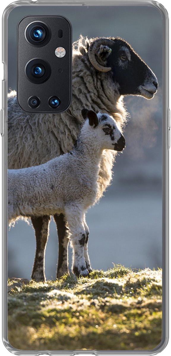Telefoonhoesje Geschikt voor OnePlus 9 Pro hoesje - Schaap - Lam - Zon - Siliconen Telefoonhoesje Telefoonhoesje