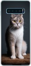Geschikt voor Samsung Galaxy S10 Lite hoesje - Kat - Huisdieren - Licht - Siliconen Telefoonhoesje