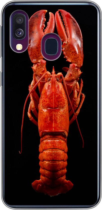 Coque Samsung Galaxy A40 - Homard - Rouge - Portrait - Coque de téléphone en Siliconen