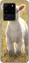 Geschikt voor Samsung Galaxy S20 Ultra hoesje - Lam - Gras - Zon - Siliconen Telefoonhoesje