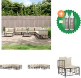 vidaXL 9 delige Loungeset met kussens poly rattan antracietkleurig Loungebank Inclusief Onderhoudsset