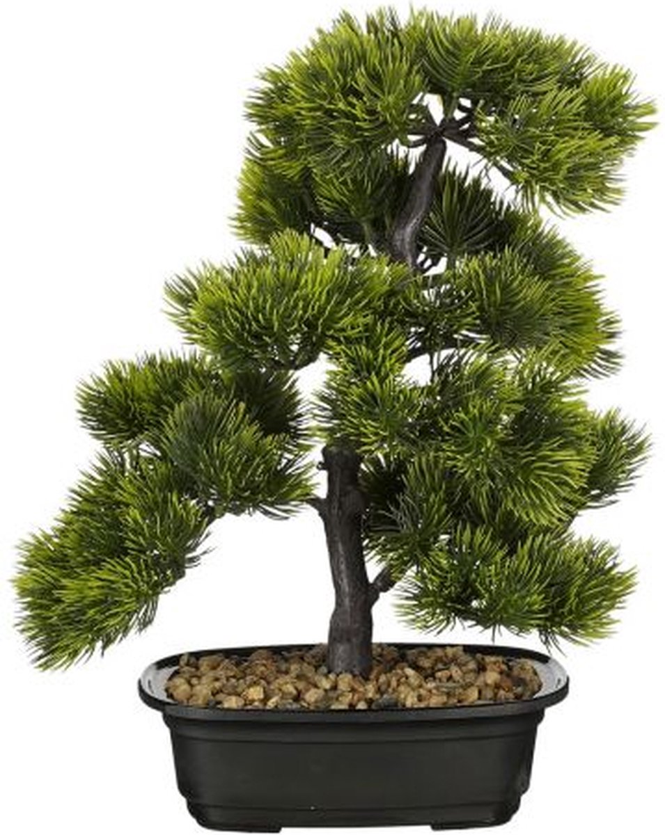 Mica Decorations Bonsai Boompje - 27 x 27 x 33 CM - Groen