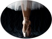 Dibond Ovaal - Ballerina - Balet - Schoenen - Dansen - 108x81 cm Foto op Ovaal (Met Ophangsysteem)