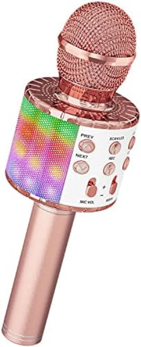 Microfoon Kinderen Speelgoed - Microfoon Kinderen Karaoke - Microfoon Bluetooth Kids - Rozegoud