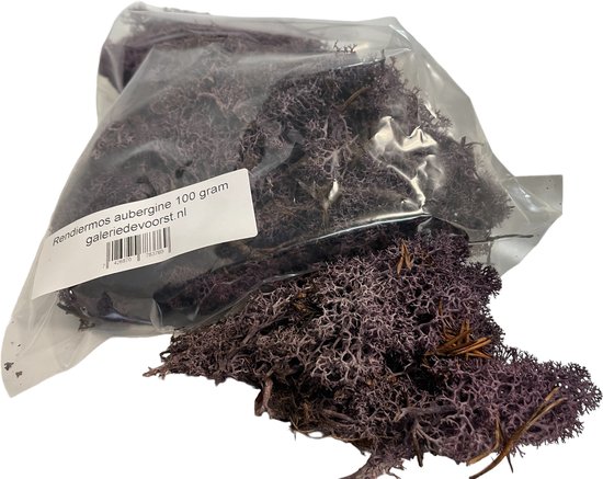QUARKZMAN Ontvangen rendiermos, 100 g kunstmos voor knutselen