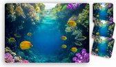Placemats - 6 stuks 42 x 30 cm bedrukt -een koraalrif vol met verschillende kleurrijke vissen - en 10 bijpassende onderzetters 10 x 10 cm