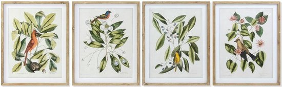 Schilderij DKD Home Decor Bird 55 x 2,5 x 70 cm Tropisch Vogels (4 Onderdelen)