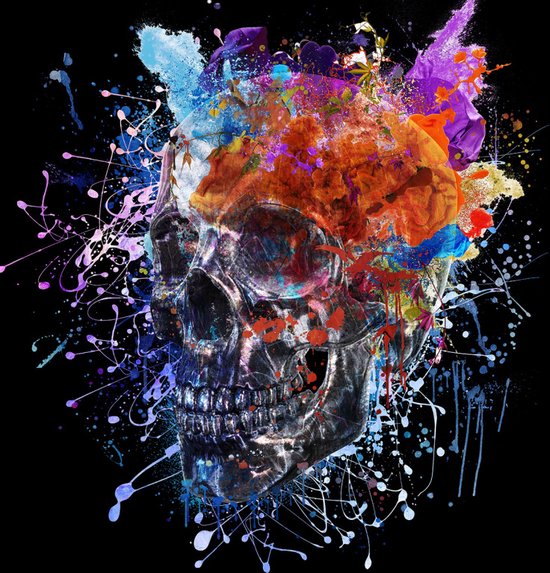 Glasschilderij 80x80x0.4 Colorful Skull