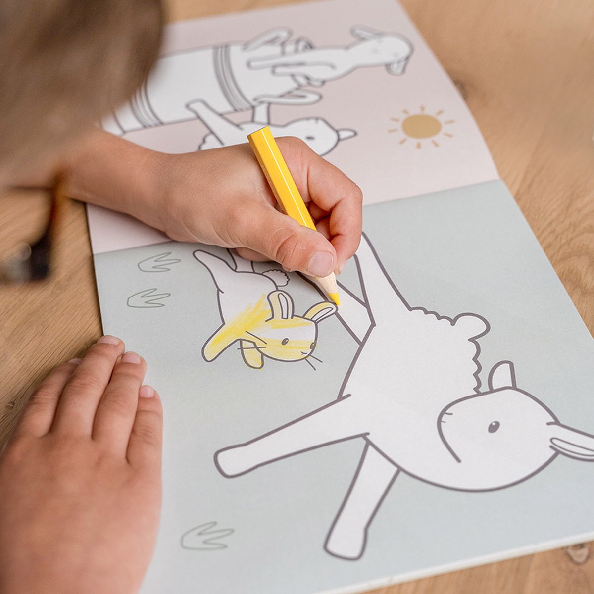 Little Dutch kleurboek Little Farm - Sketch & colour - kleurboek - tekenen - educatief — afbeelding 4