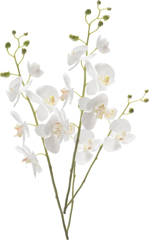 Emerald Kunstbloem Orchidee - 2x - 95 cm - wit - losse tak - kunst zijdebloem - Phalaenopsis