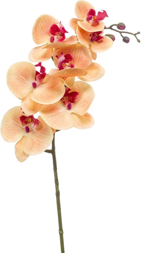 Emerald Kunstbloem Orchidee - 83 cm - zalm kleurig - losse tak - kunst zijdebloem - Phalaenopsis