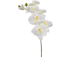 Emerald Kunstbloem Orchidee - 80 cm - wit - losse tak - kunst zijdebloem - Phalaenopsis