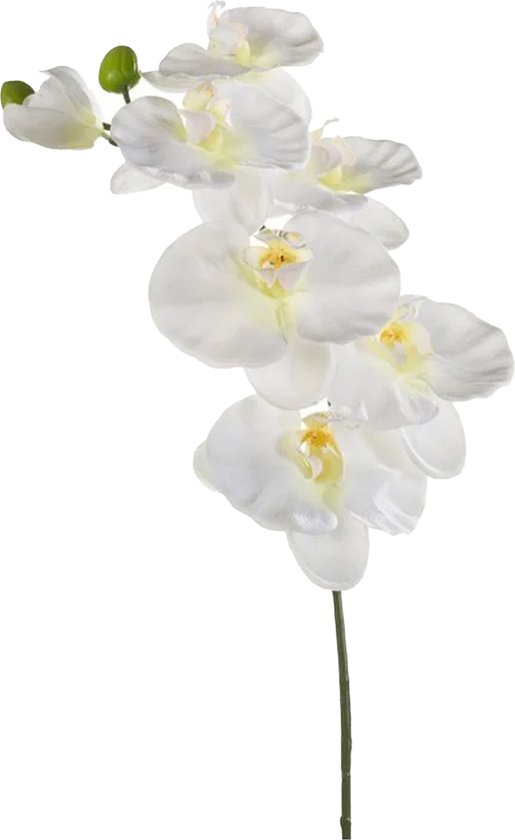 Emerald Kunstbloem Orchidee - 80 cm - wit - losse tak - kunst zijdebloem - Phalaenopsis