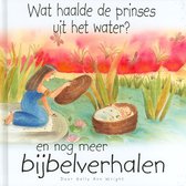 Wat Haalde Prinses Uit Het Water