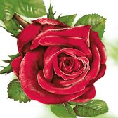 1 Pakje papieren lunch servetten - Big Red Rose - Rode roos - 20 servetten - Bloemen