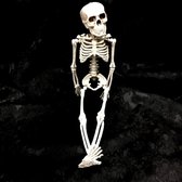 Boland - hangend Skelet 5 stuks (28cm)