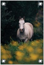 Tuinposter Paard / Schimmel 80x120cm- Foto op Tuinposter (wanddecoratie voor buiten en binnen)