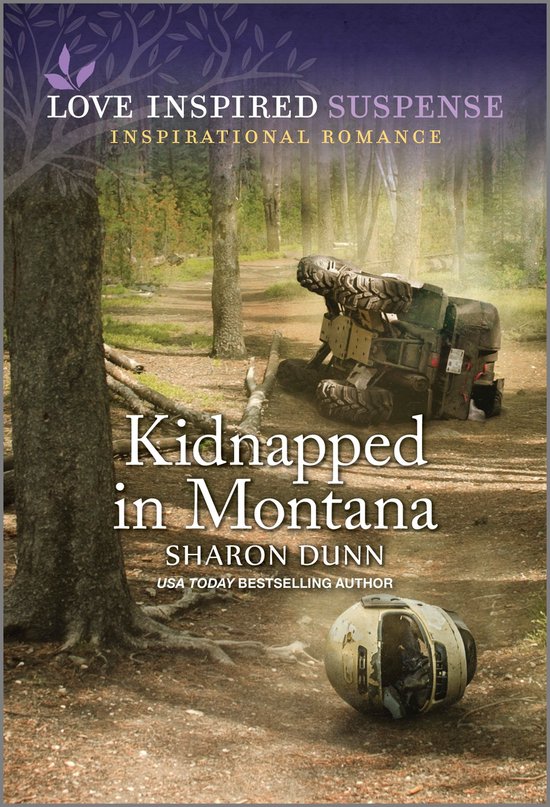 Kidnapped in Montana - cover