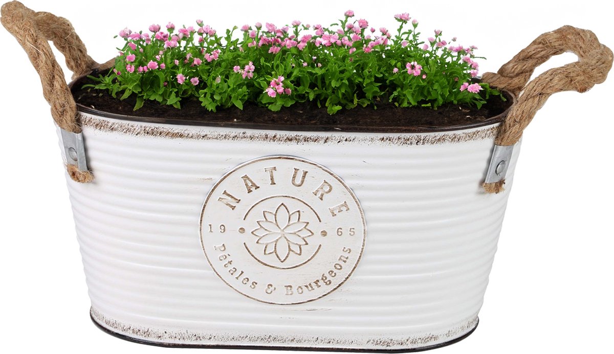 Goedkoopste Sunnydays Teil/plantenpot/bloempot - zink - ivoorwit - L24 x D14 x H12 cm