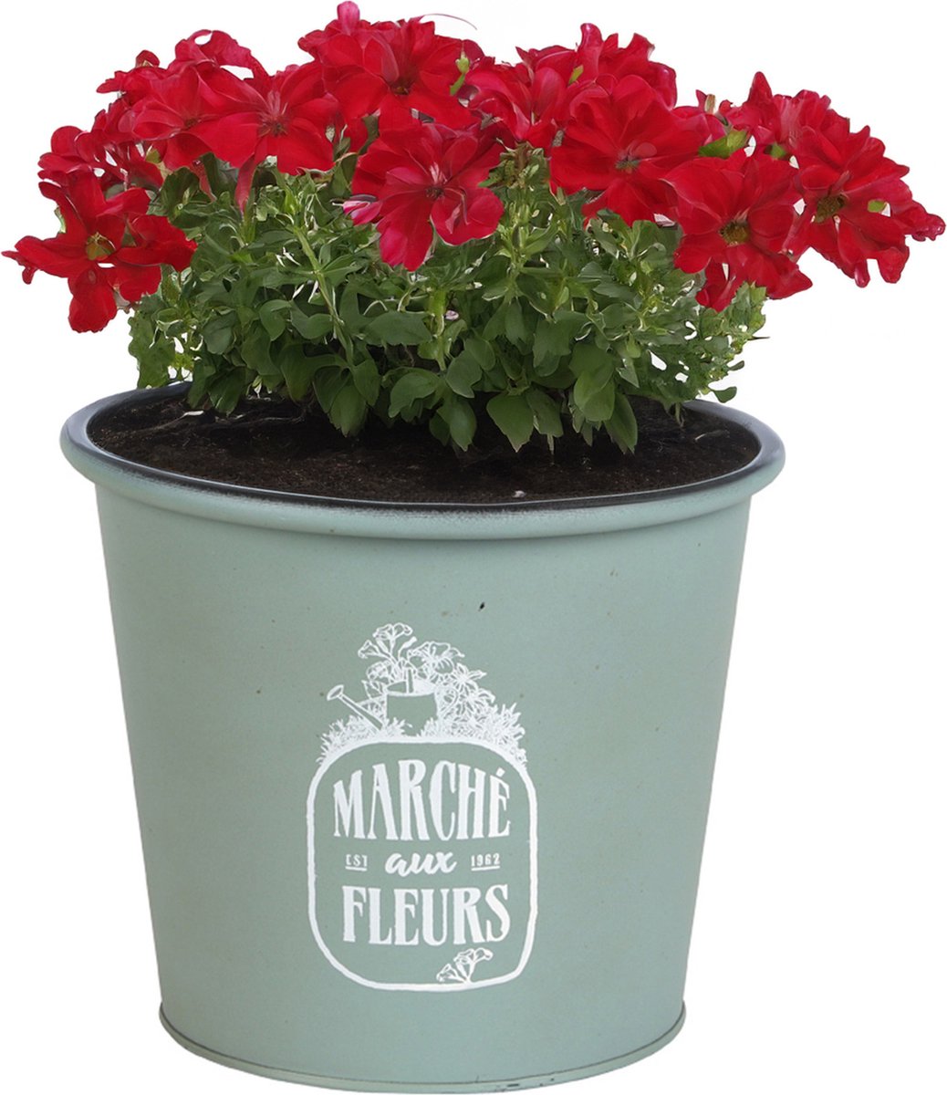 Goedkoopste Sunnydays /plantenpot/bloempot - zink - jadegroen - D19 x H16 cm