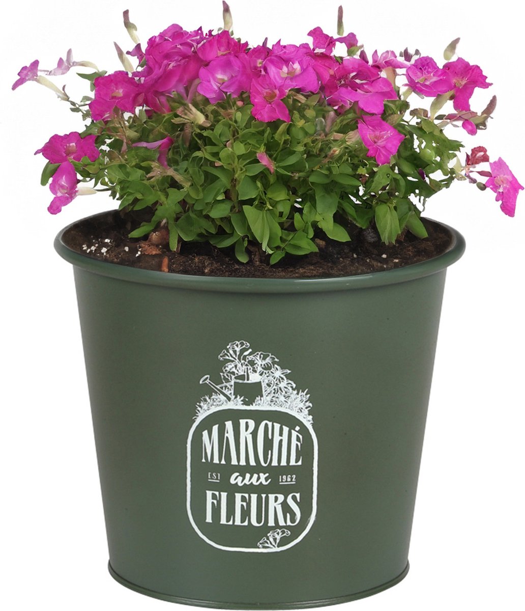 Goedkoopste Sunnydays /plantenpot/bloempot - zink - legergroen - D19 x H16 cm