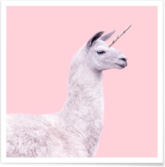 JUNIQE - Poster Llama Unicorn -30x30 /Roze