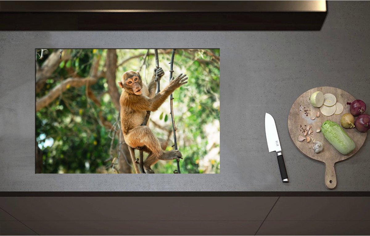 Inductieplaat Beschermer - Aap hangt en zit op takken in de jungle - 75x51 cm - 2 mm Dik - Inductie Beschermer - Bescherming Inductiekookplaat - Kookplaat Beschermer van Zwart Vinyl