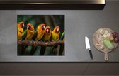 Inductieplaat Beschermer - Ara papegaaien zitten op een rijtje langs elkaar op een tak - 60x52 cm - 2 mm Dik - Inductie Beschermer - Bescherming Inductiekookplaat - Kookplaat Beschermer van Zwart Vinyl