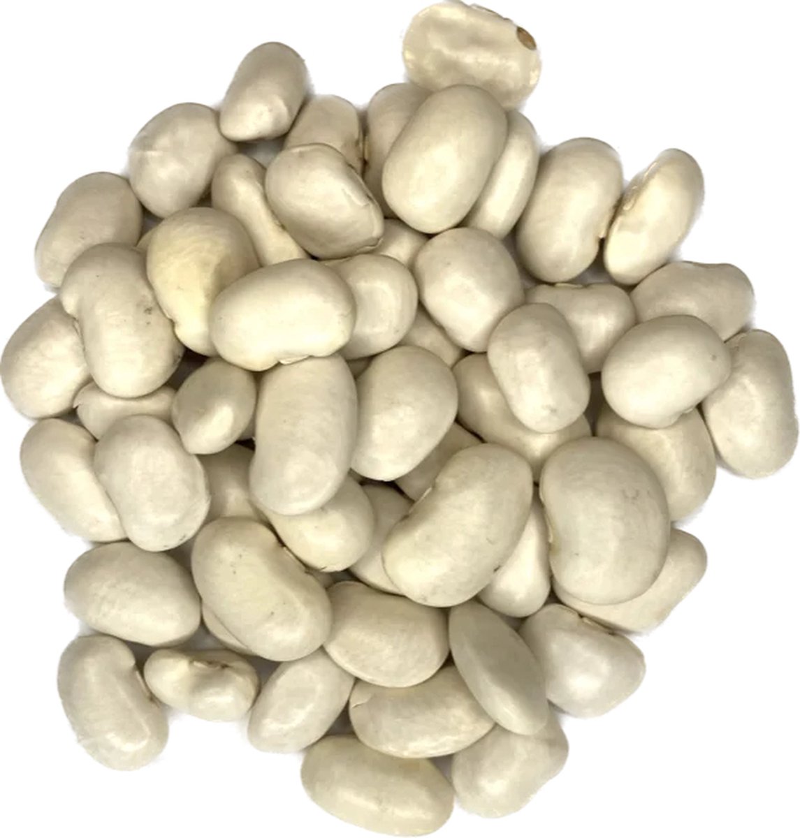 Goedkoopste Grote Witte Bonen pronkers 450 gram