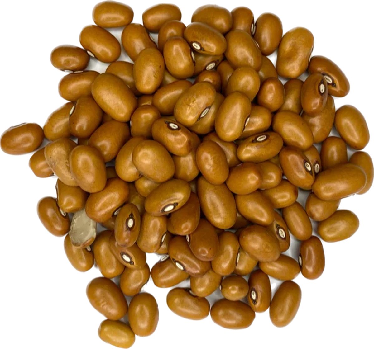 Goedkoopste Bruine bonen 500 gram