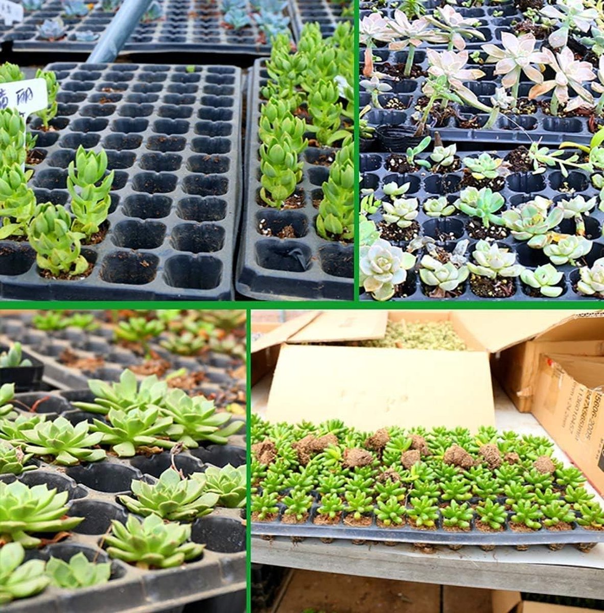 Potten en Plantenschalen voor je tuin - www