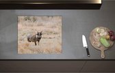Inductieplaat Beschermer - Aankijkend Zwijn in Droog Afrikaans Landschap - 58x50 cm - 2 mm Dik - Inductie Beschermer - Bescherming Inductiekookplaat - Kookplaat Beschermer van Wit Vinyl