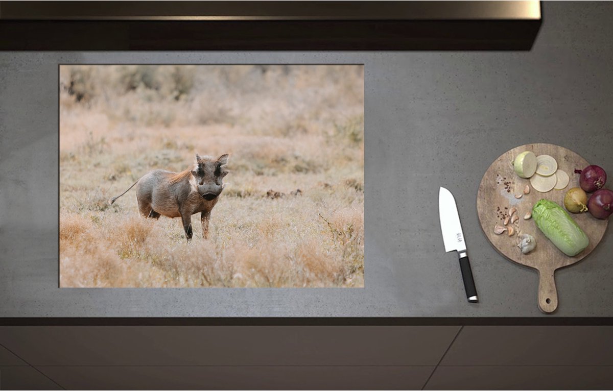 Inductieplaat Beschermer - Aankijkend Zwijn in Droog Afrikaans Landschap - 75x55 cm - 2 mm Dik - Inductie Beschermer - Bescherming Inductiekookplaat - Kookplaat Beschermer van Wit Vinyl