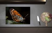 Inductieplaat Beschermer - Acraea vlinder zit op groen blad met zwarte achtergrond - 71x51 cm - 2 mm Dik - Inductie Beschermer - Bescherming Inductiekookplaat - Kookplaat Beschermer van Wit Vinyl