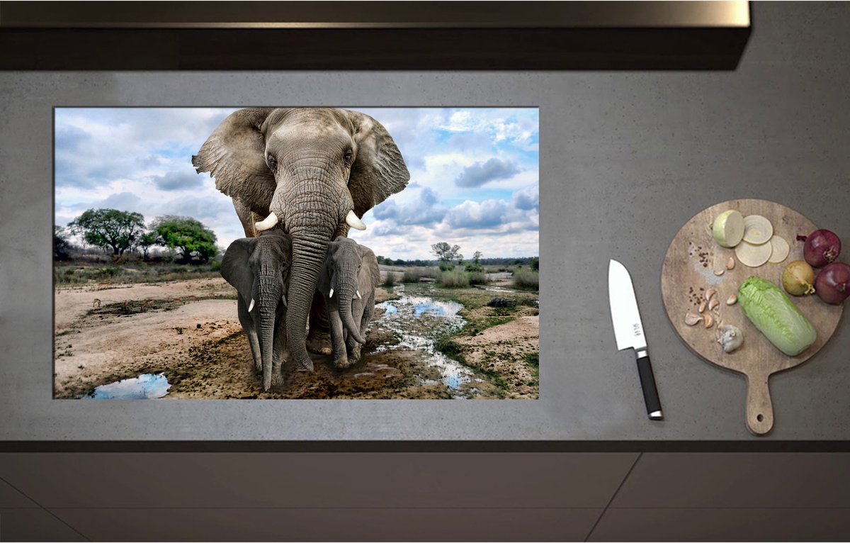 Inductieplaat Beschermer - Aankijkende Olifant met Jongen in Moerassig Landschap - 85x52 cm - 2 mm Dik - Inductie Beschermer - Bescherming Inductiekookplaat - Kookplaat Beschermer van Zwart Vinyl