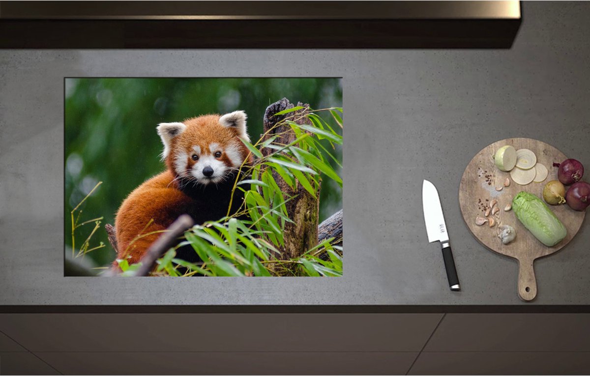 Inductieplaat Beschermer - Aandoenlijke Rode Panda op Boomstam met Groene Planten - 71x51 cm - 2 mm Dik - Inductie Beschermer - Bescherming Inductiekookplaat - Kookplaat Beschermer van Wit Vinyl