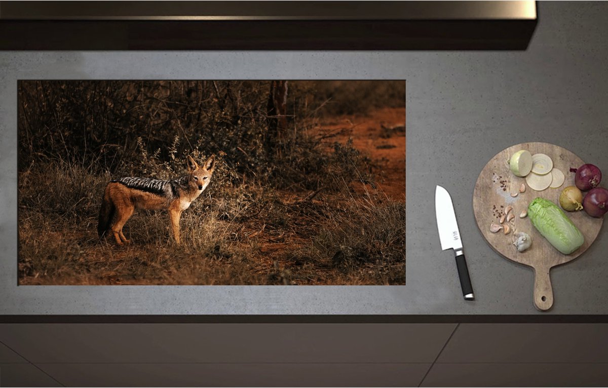Inductieplaat Beschermer - Aankijkende Goudwolf in de Struiken van Kaal Bos - 95x51 cm - 2 mm Dik - Inductie Beschermer - Bescherming Inductiekookplaat - Kookplaat Beschermer van Wit Vinyl