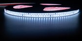 LED Strip - Velvalux - 20 Meter - Helder/Koud Wit 6000K - Dimbaar - Waterdicht IP67 - 38400 Lumen - 2400 LEDs - Directe Aansluiting op Netstroom - Werkt zonder Driver