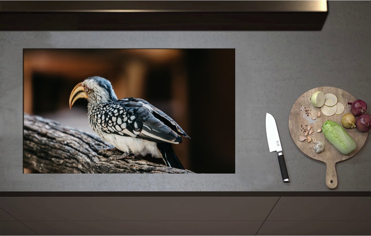 Inductieplaat Beschermer - Achteraanzicht van Zuidelijke geelsnaveltok Vogel Lopend op Boomstronk - 85x51 cm - 2 mm Dik - Inductie Beschermer - Bescherming Inductiekookplaat - Kookplaat Beschermer van Wit Vinyl