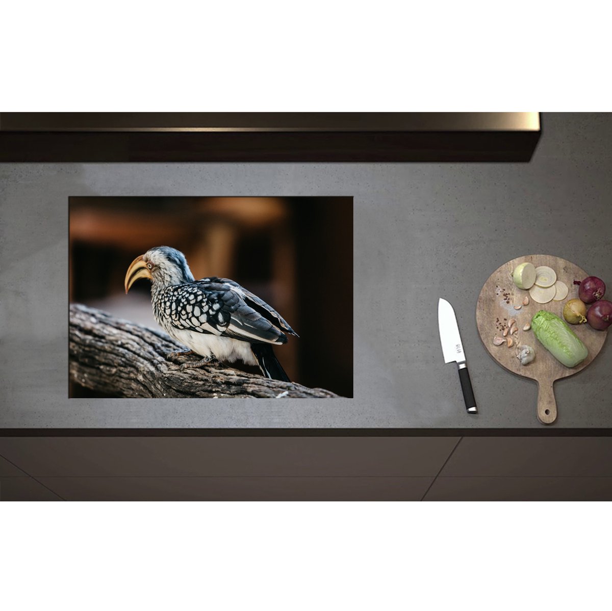 Inductieplaat Beschermer - Achteraanzicht van Zuidelijke geelsnaveltok Vogel Lopend op Boomstronk - 70x50 cm - 2 mm Dik - Inductie Beschermer - Bescherming Inductiekookplaat - Kookplaat Beschermer van Zwart Vinyl