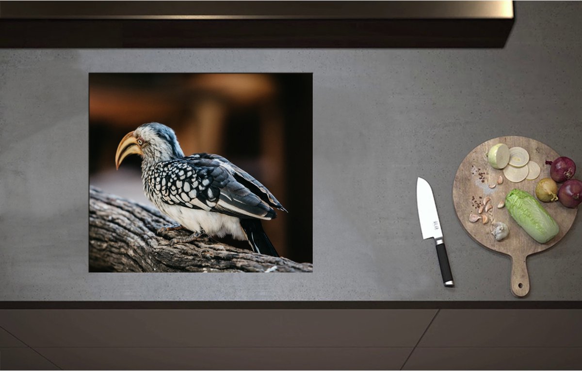Inductieplaat Beschermer - Achteraanzicht van Zuidelijke geelsnaveltok Vogel Lopend op Boomstronk - 58x52 cm - 2 mm Dik - Inductie Beschermer - Bescherming Inductiekookplaat - Kookplaat Beschermer van Zwart Vinyl