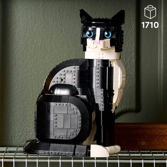 LEGO Ideas Chat Zwart et blanc - 21349