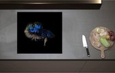 Inductieplaat Beschermer - Blauwe Vis op Zwart Oppervlak - 59x55 cm - 2 mm Dik - Inductie Beschermer - Bescherming Inductiekookplaat - Kookplaat Beschermer van Zwart Vinyl