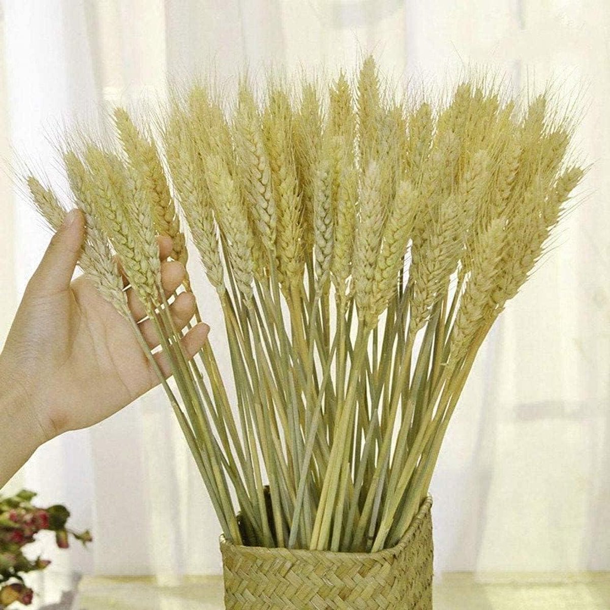 200 Stengels Gedroogde Tarwe Stengels Natuurlijk Tarwe Oren Boeket voor Huis Partij Bruiloft Decor (200 Stengels) droge bloemen