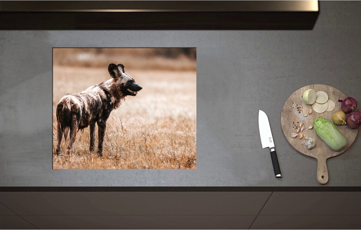 Inductieplaat Beschermer - Bont Gekleurde Hyeana in Droog Afrikaans Landschap - 60x51 cm - 2 mm Dik - Inductie Beschermer - Bescherming Inductiekookplaat - Kookplaat Beschermer van Wit Vinyl