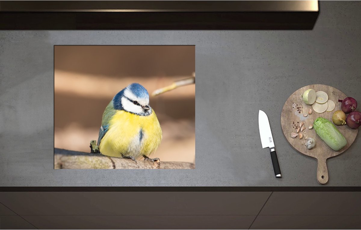 Inductieplaat Beschermer - Bol Pimpelmeesje Zittend op Tak - 59x52 cm - 2 mm Dik - Inductie Beschermer - Bescherming Inductiekookplaat - Kookplaat Beschermer van Zwart Vinyl